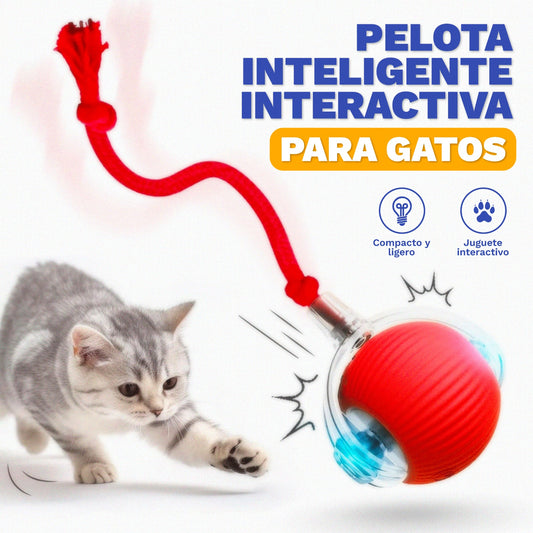Pelota Inteligente Interactiva para Gatos